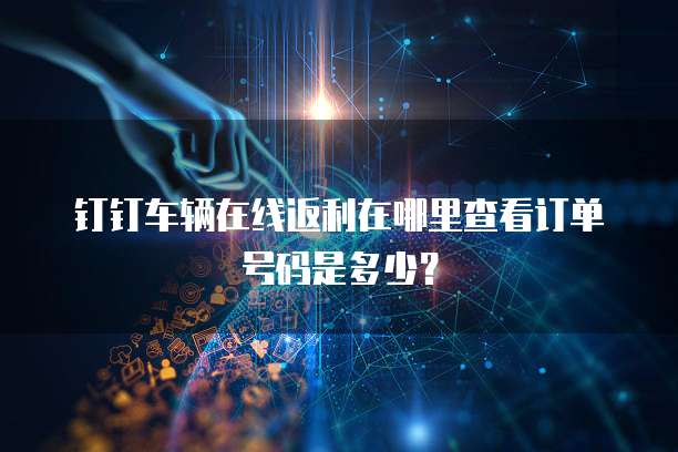 钉钉车辆在线返利在哪里查看订单号码是多少?