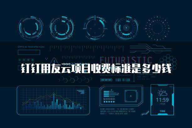 钉钉用友云项目收费标准是多少钱
