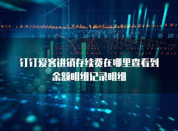 钉钉爱客进销存续费在哪里查看到余额明细记录明细
