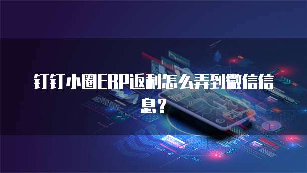 钉钉小圈ERP返利怎么弄到微信信息?