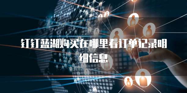 钉钉蓝湖购买在哪里看订单记录明细信息