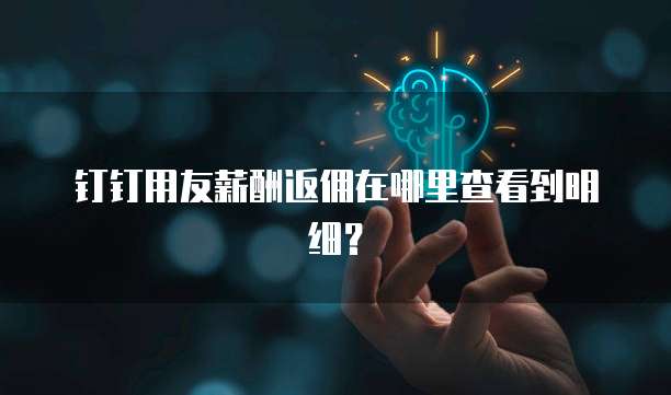 钉钉用友薪酬返佣在哪里查看到明细?