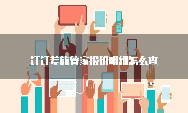 钉钉差旅管家报价明细怎么查