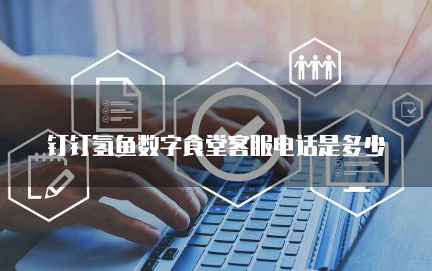 钉钉氢鱼数字食堂客服电话是多少