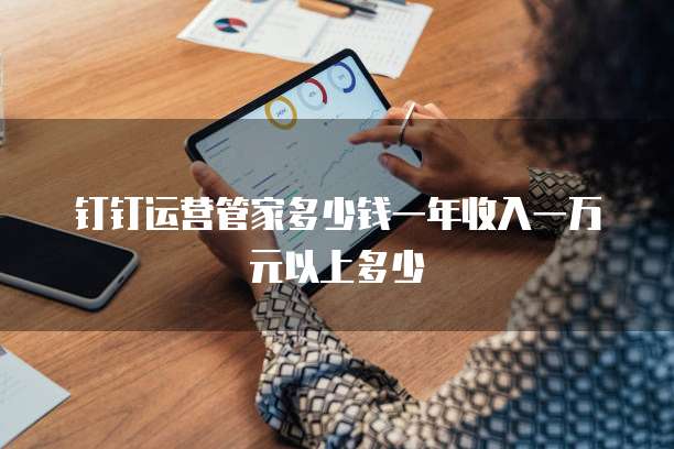 钉钉运营管家多少钱一年收入一万元以上多少