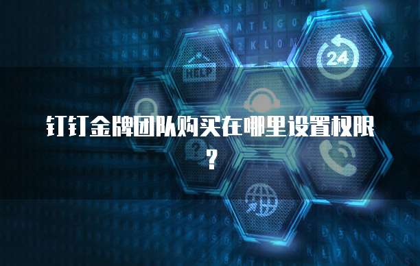 钉钉金牌团队购买在哪里设置权限?