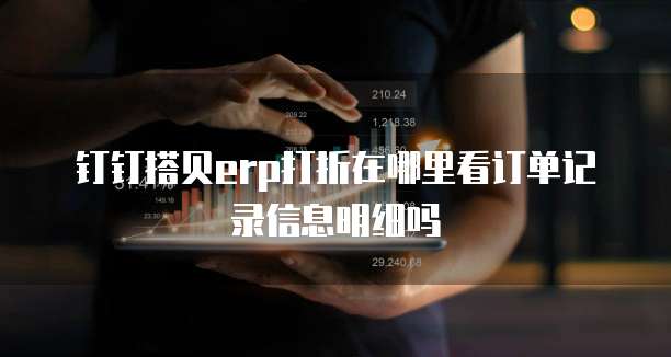 钉钉搭贝erp打折在哪里看订单记录信息明细吗