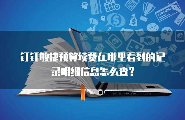 钉钉敏捷预算续费在哪里看到的记录明细信息怎么查?