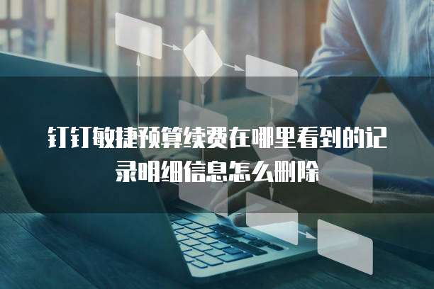 钉钉敏捷预算续费在哪里看到的记录明细信息怎么删除