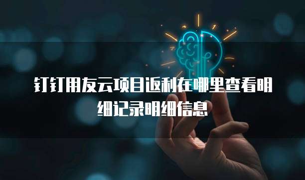 钉钉用友云项目返利在哪里查看明细记录明细信息