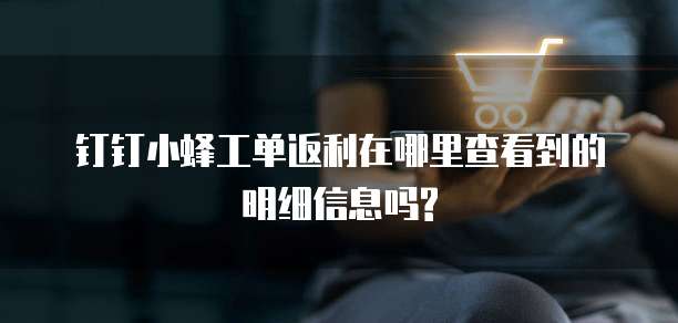钉钉小蜂工单返利在哪里查看到的明细信息吗?