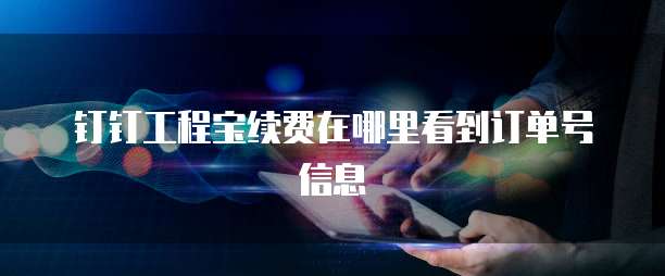 钉钉工程宝续费在哪里看到订单号信息
