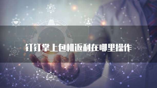 钉钉掌上包机返利在哪里操作