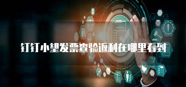 钉钉小望发票查验返利在哪里看到