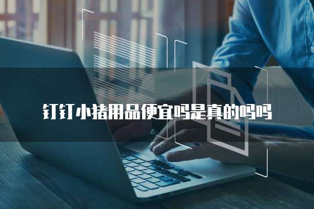 钉钉小猪用品便宜吗是真的吗吗