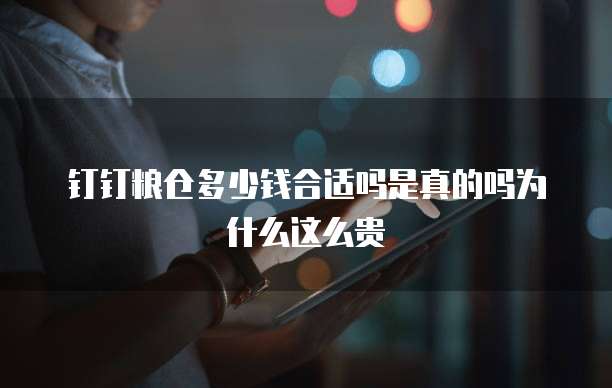 钉钉粮仓多少钱合适吗是真的吗为什么这么贵