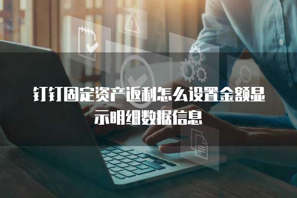 钉钉固定资产返利怎么设置金额显示明细数据信息