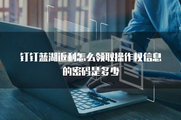 钉钉蓝湖返利怎么领取操作权信息的密码是多少