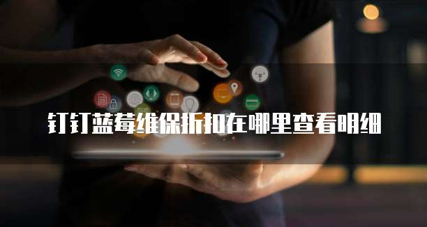钉钉蓝莓维保折扣在哪里查看明细