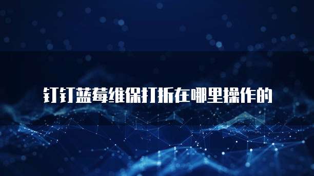 钉钉蓝莓维保打折在哪里操作的