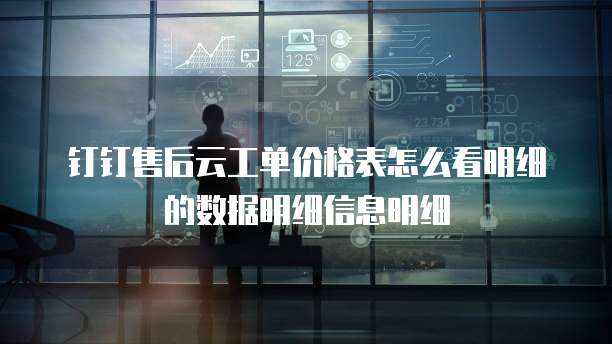 钉钉售后云工单价格表怎么看明细的数据明细信息明细