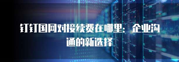 钉钉国网对接续费在哪里:企业沟通的新选择