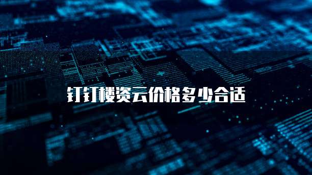 钉钉楼资云价格多少合适