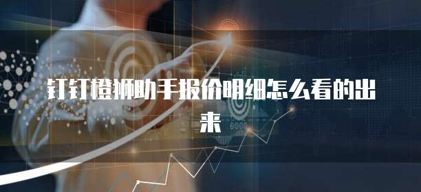 钉钉橙狮助手报价明细怎么看的出来