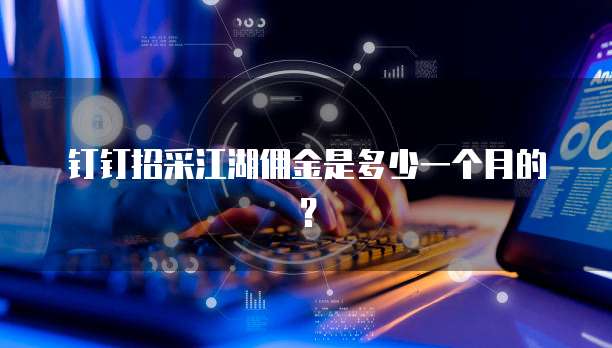 钉钉招采江湖佣金是多少一个月的?