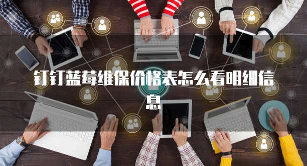 钉钉蓝莓维保价格表怎么看明细信息