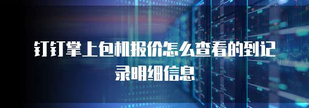 钉钉掌上包机报价怎么查看的到记录明细信息