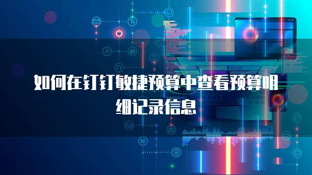 如何在钉钉敏捷预算中查看预算明细记录信息