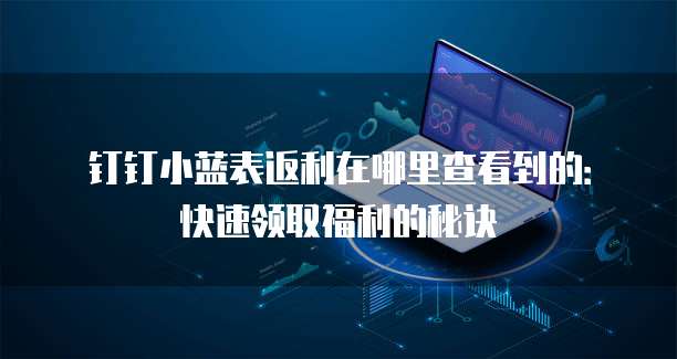 钉钉小蓝表返利在哪里查看到的:快速领取福利的秘诀