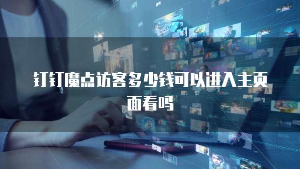 钉钉魔点访客多少钱可以进入主页面看吗