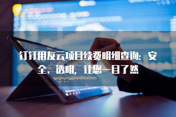 钉钉用友云项目续费明细查询:安全、透明,让您一目了然