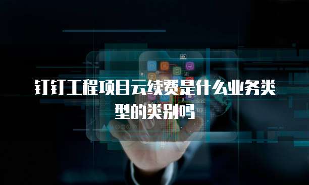 钉钉工程项目云续费是什么业务类型的类别吗
