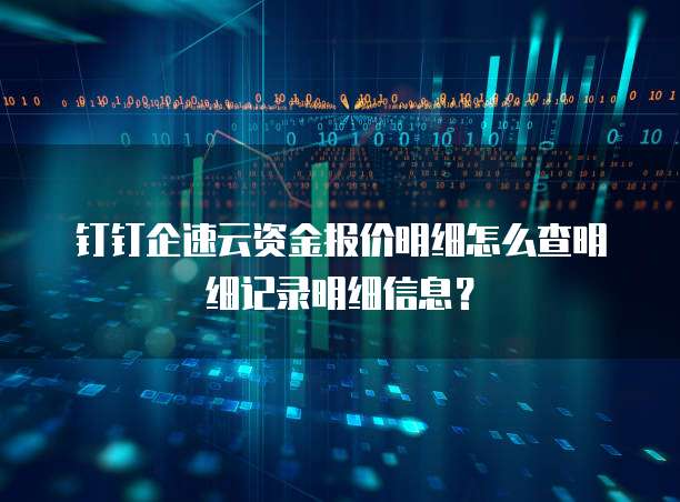 钉钉企速云资金报价明细怎么查明细记录明细信息?