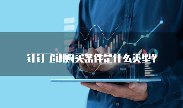 钉钉飞训购买条件是什么类型?