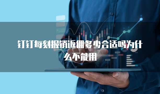 钉钉每刻报销返佣多少合适吗为什么不能用