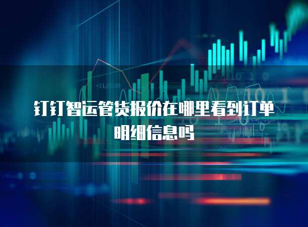 钉钉智运管货报价在哪里看到订单明细信息吗