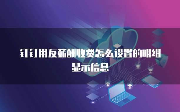 钉钉用友薪酬收费怎么设置的明细显示信息