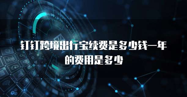 钉钉跨境出行宝续费是多少钱一年的费用是多少