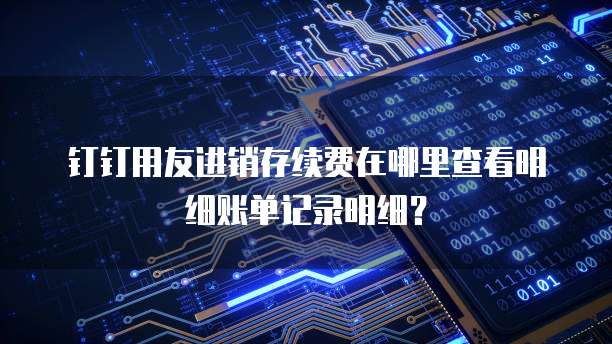 钉钉用友进销存续费在哪里查看明细账单记录明细?