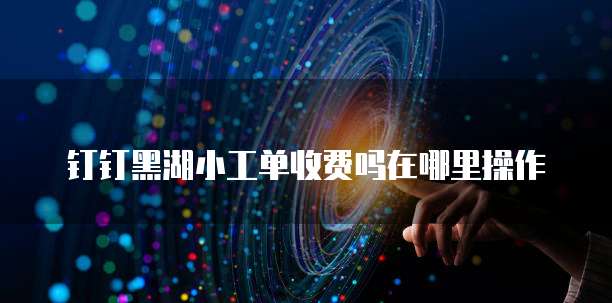 钉钉黑湖小工单收费吗在哪里操作