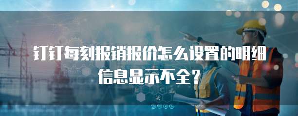 钉钉每刻报销报价怎么设置的明细信息显示不全?