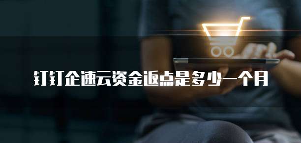 钉钉企速云资金返点是多少一个月