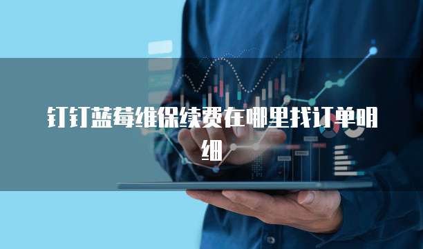 钉钉蓝莓维保续费在哪里找订单明细