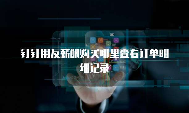 钉钉用友薪酬购买哪里查看订单明细记录