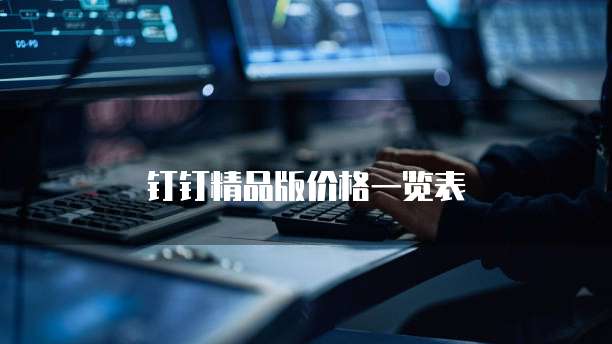 钉钉精品版价格一览表