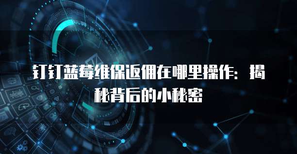 钉钉蓝莓维保返佣在哪里操作:揭秘背后的小秘密